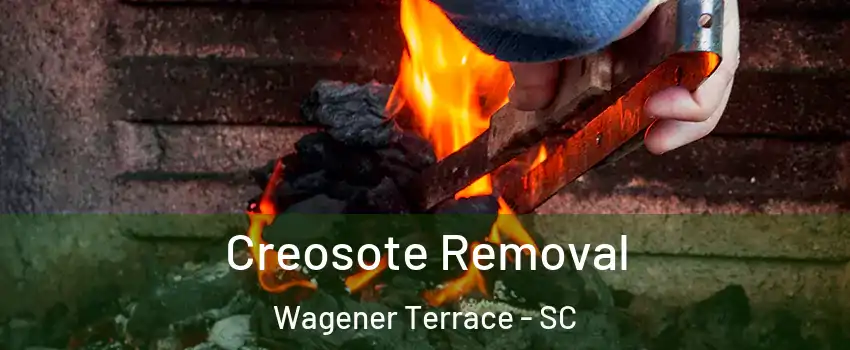 Creosote Removal Wagener Terrace - SC