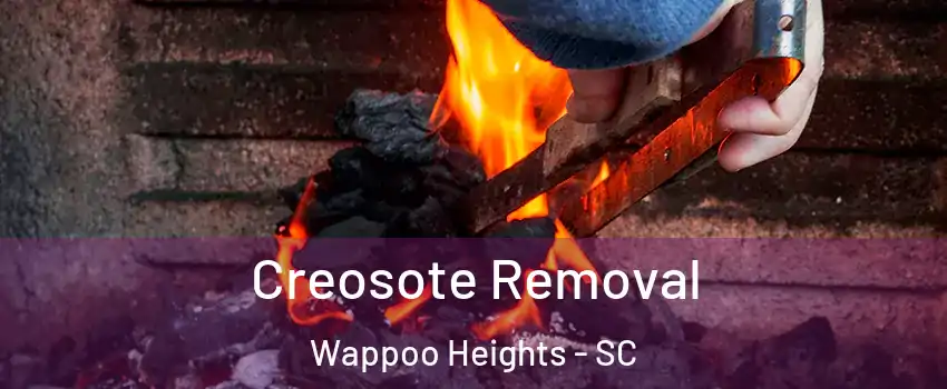 Creosote Removal Wappoo Heights - SC