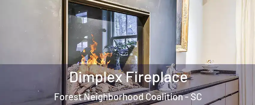 Dimplex Fireplace Forest Neighborhood Coalition - SC