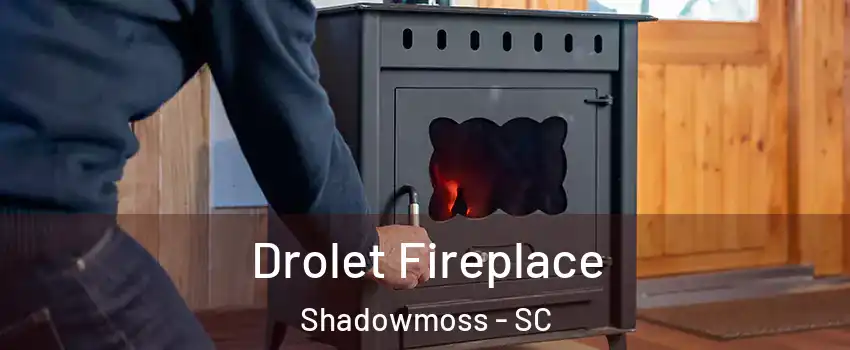 Drolet Fireplace Shadowmoss - SC