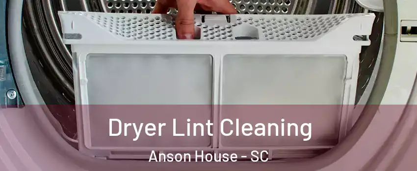 Dryer Lint Cleaning Anson House - SC