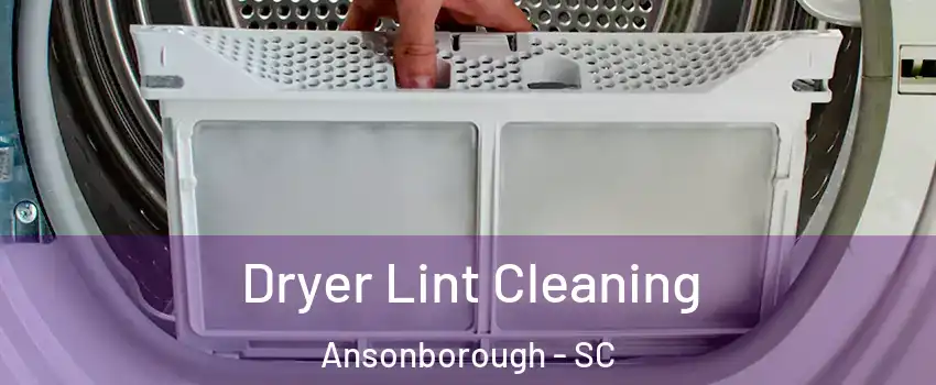 Dryer Lint Cleaning Ansonborough - SC