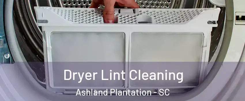 Dryer Lint Cleaning Ashland Plantation - SC