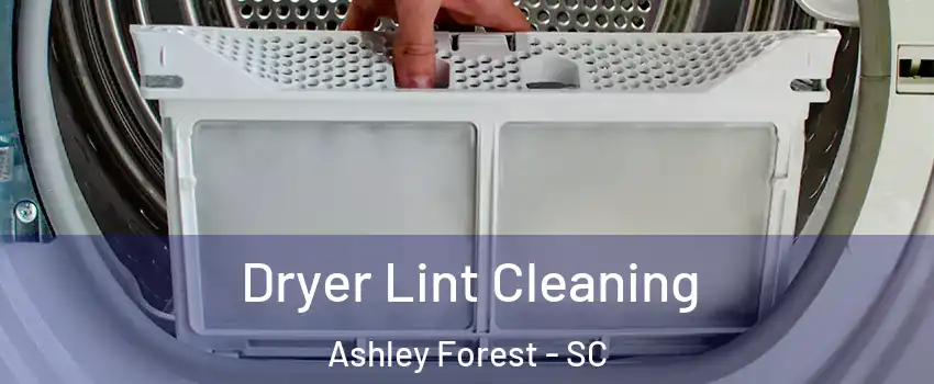 Dryer Lint Cleaning Ashley Forest - SC