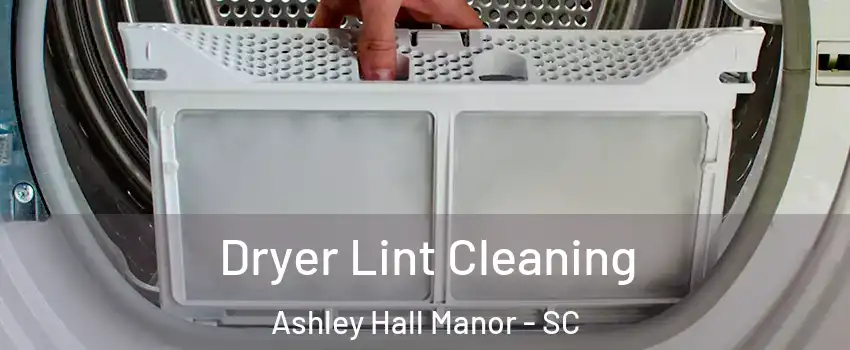 Dryer Lint Cleaning Ashley Hall Manor - SC