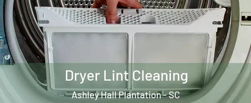 Dryer Lint Cleaning Ashley Hall Plantation - SC