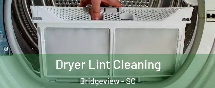 Dryer Lint Cleaning Bridgeview - SC