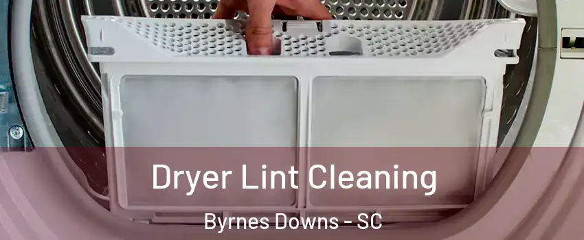 Dryer Lint Cleaning Byrnes Downs - SC