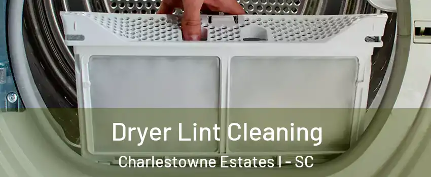 Dryer Lint Cleaning Charlestowne Estates I - SC