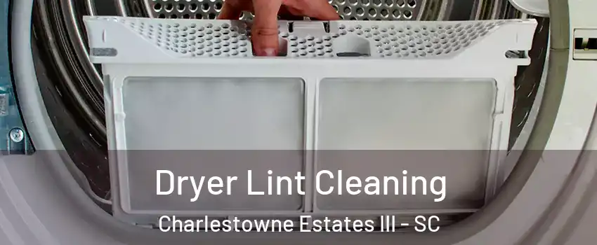 Dryer Lint Cleaning Charlestowne Estates III - SC