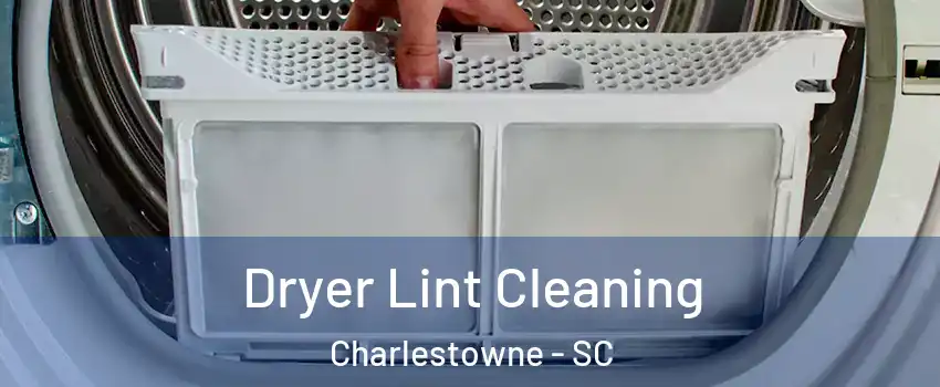 Dryer Lint Cleaning Charlestowne - SC