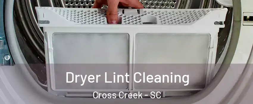 Dryer Lint Cleaning Cross Creek - SC