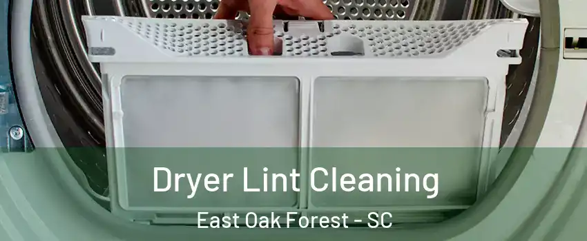 Dryer Lint Cleaning East Oak Forest - SC