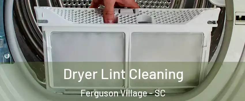 Dryer Lint Cleaning Ferguson Village - SC