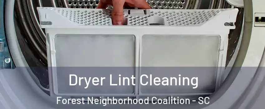 Dryer Lint Cleaning Forest Neighborhood Coalition - SC