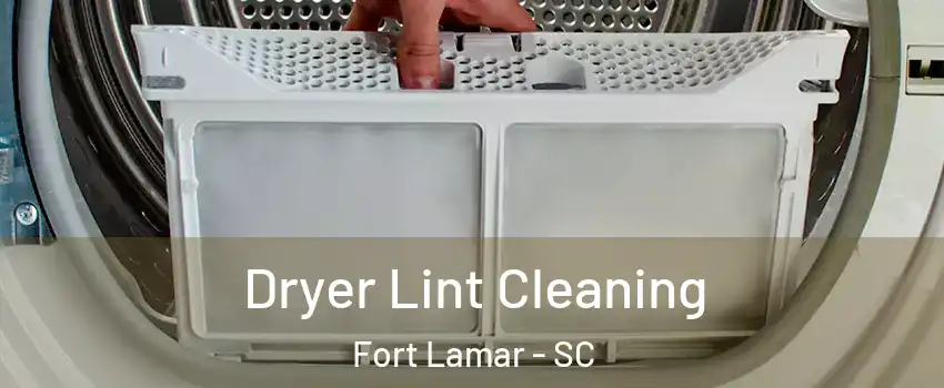 Dryer Lint Cleaning Fort Lamar - SC