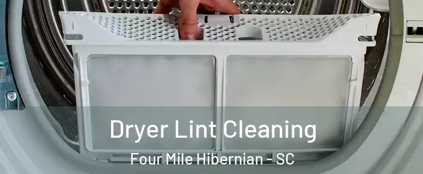 Dryer Lint Cleaning Four Mile Hibernian - SC