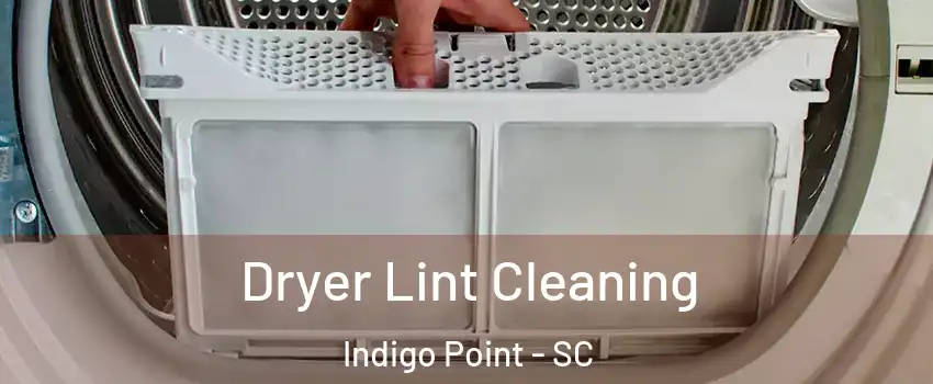 Dryer Lint Cleaning Indigo Point - SC