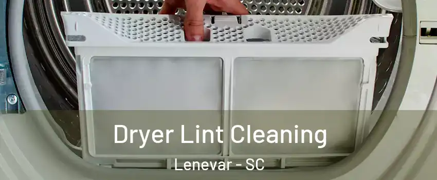 Dryer Lint Cleaning Lenevar - SC