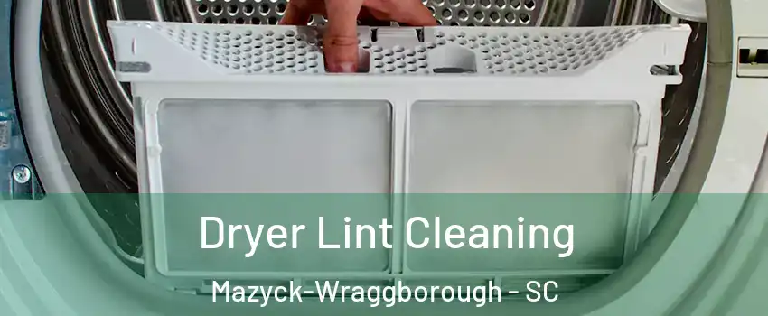 Dryer Lint Cleaning Mazyck-Wraggborough - SC