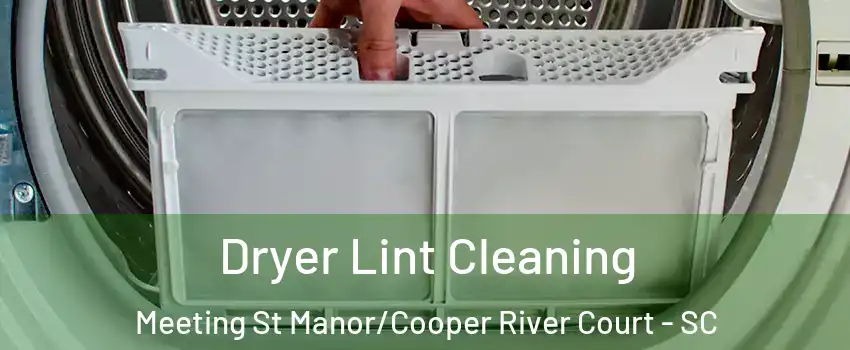 Dryer Lint Cleaning Meeting St Manor/Cooper River Court - SC