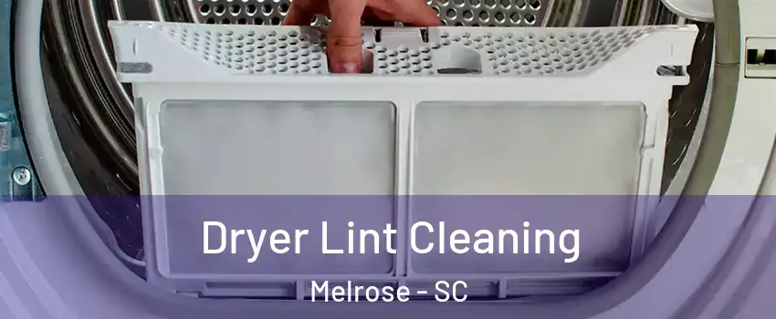 Dryer Lint Cleaning Melrose - SC