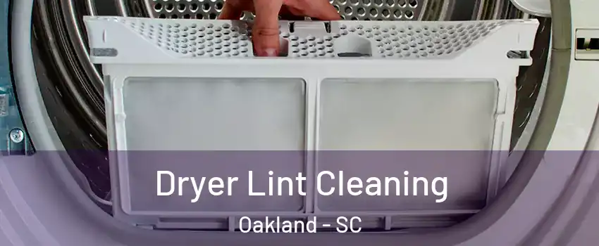 Dryer Lint Cleaning Oakland - SC