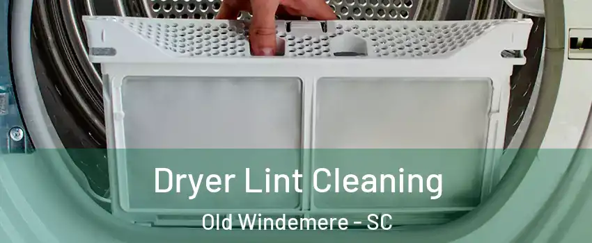 Dryer Lint Cleaning Old Windemere - SC