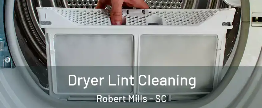 Dryer Lint Cleaning Robert Mills - SC