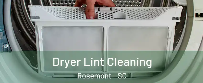 Dryer Lint Cleaning Rosemont - SC