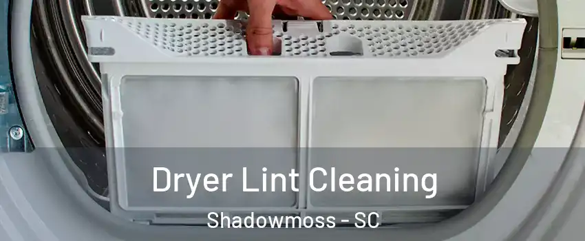 Dryer Lint Cleaning Shadowmoss - SC