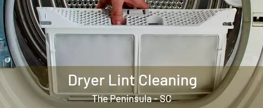 Dryer Lint Cleaning The Peninsula - SC