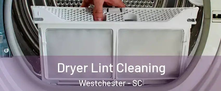 Dryer Lint Cleaning Westchester - SC