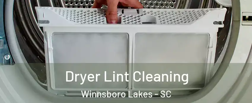 Dryer Lint Cleaning Winnsboro Lakes - SC