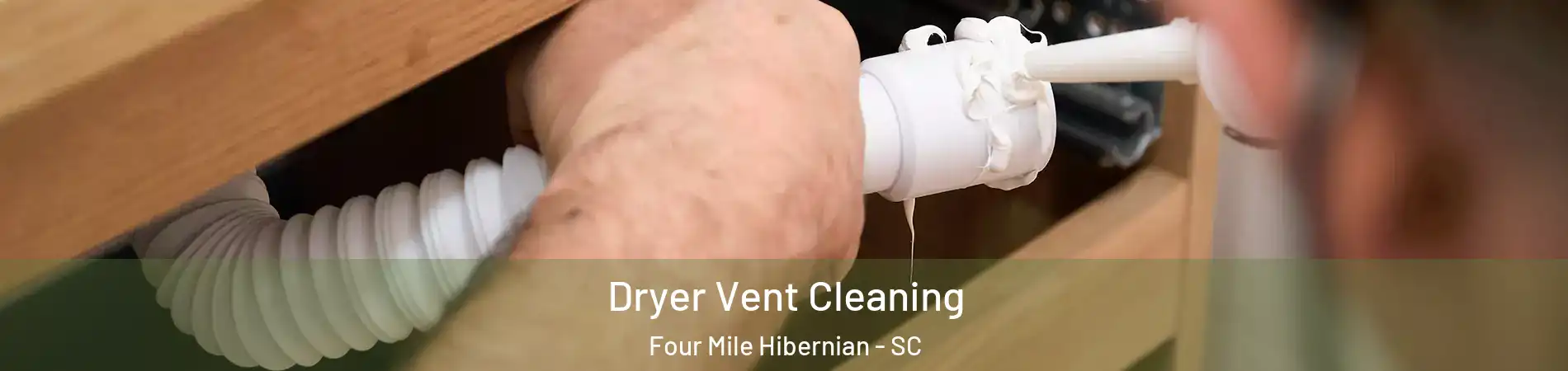 Dryer Vent Cleaning Four Mile Hibernian - SC