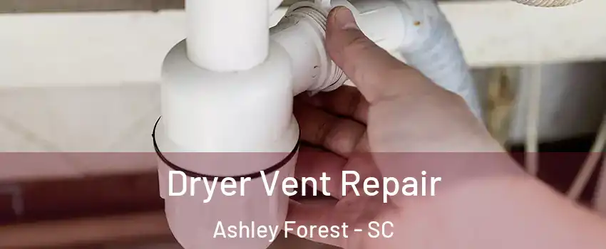 Dryer Vent Repair Ashley Forest - SC