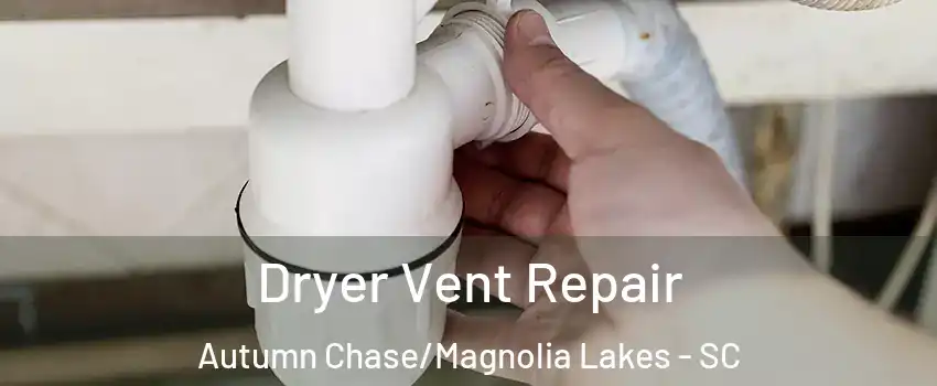 Dryer Vent Repair Autumn Chase/Magnolia Lakes - SC