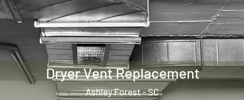 Dryer Vent Replacement Ashley Forest - SC