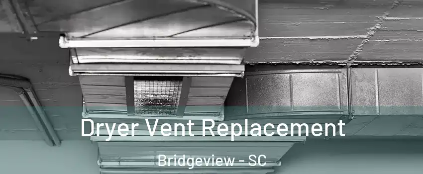 Dryer Vent Replacement Bridgeview - SC