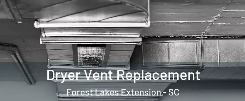 Dryer Vent Replacement Forest Lakes Extension - SC