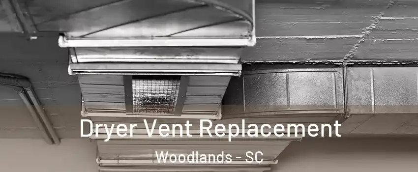 Dryer Vent Replacement Woodlands - SC