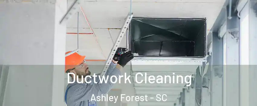 Ductwork Cleaning Ashley Forest - SC