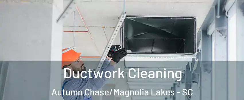 Ductwork Cleaning Autumn Chase/Magnolia Lakes - SC