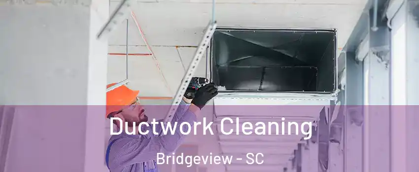 Ductwork Cleaning Bridgeview - SC