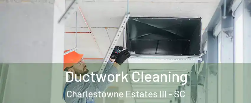 Ductwork Cleaning Charlestowne Estates III - SC