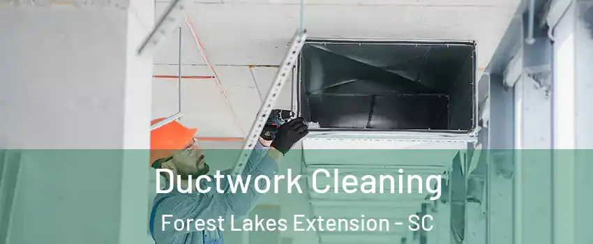 Ductwork Cleaning Forest Lakes Extension - SC