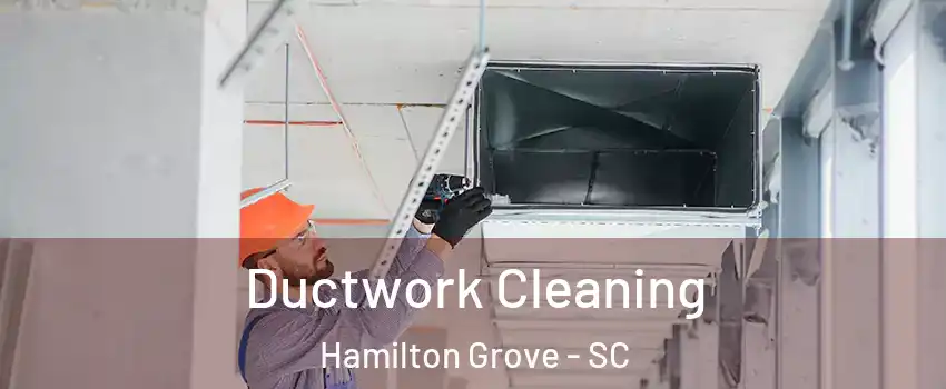 Ductwork Cleaning Hamilton Grove - SC