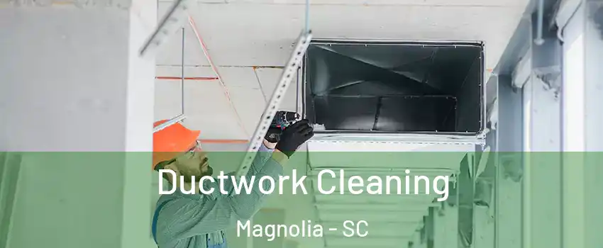 Ductwork Cleaning Magnolia - SC