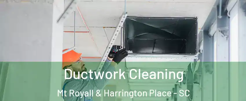 Ductwork Cleaning Mt Royall & Harrington Place - SC