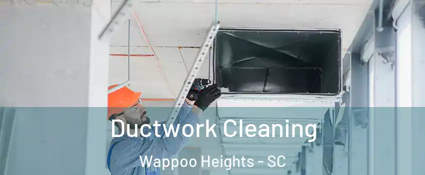 Ductwork Cleaning Wappoo Heights - SC